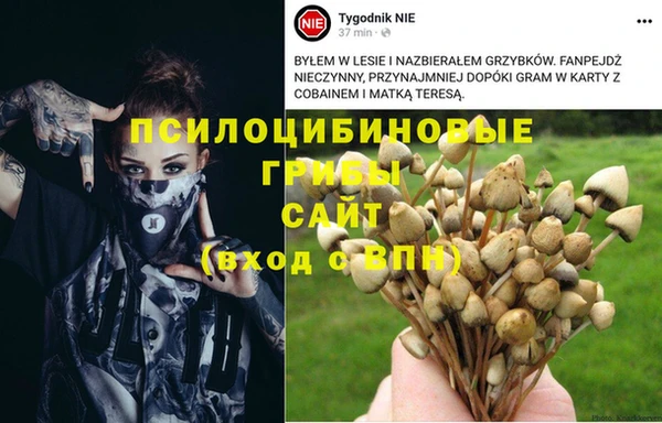 стаф Абинск