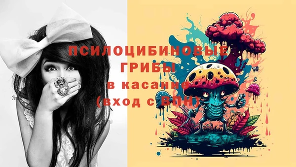 стаф Абинск