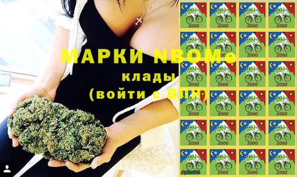 стаф Абинск