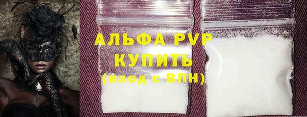 стаф Абинск