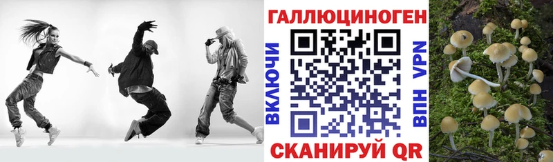Псилоцибиновые грибы прущие грибы мега Красавино